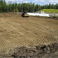 phytoremediation img1